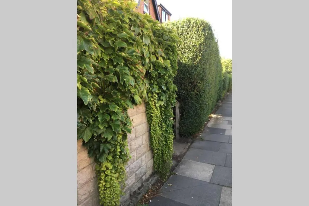 Apartment 61 Wetherby